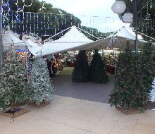 /volantinaggio_natale