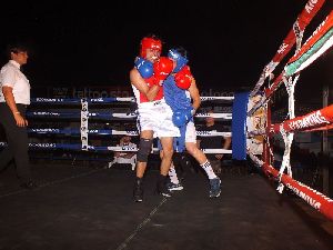 boxe