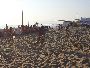 MEMORIAL_FAILLA_2013